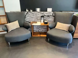 Biosofa – Poltrona Pank